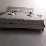 Oasi * 세니갈리아
