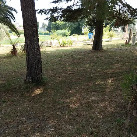 Oasi Apartment Senigallia